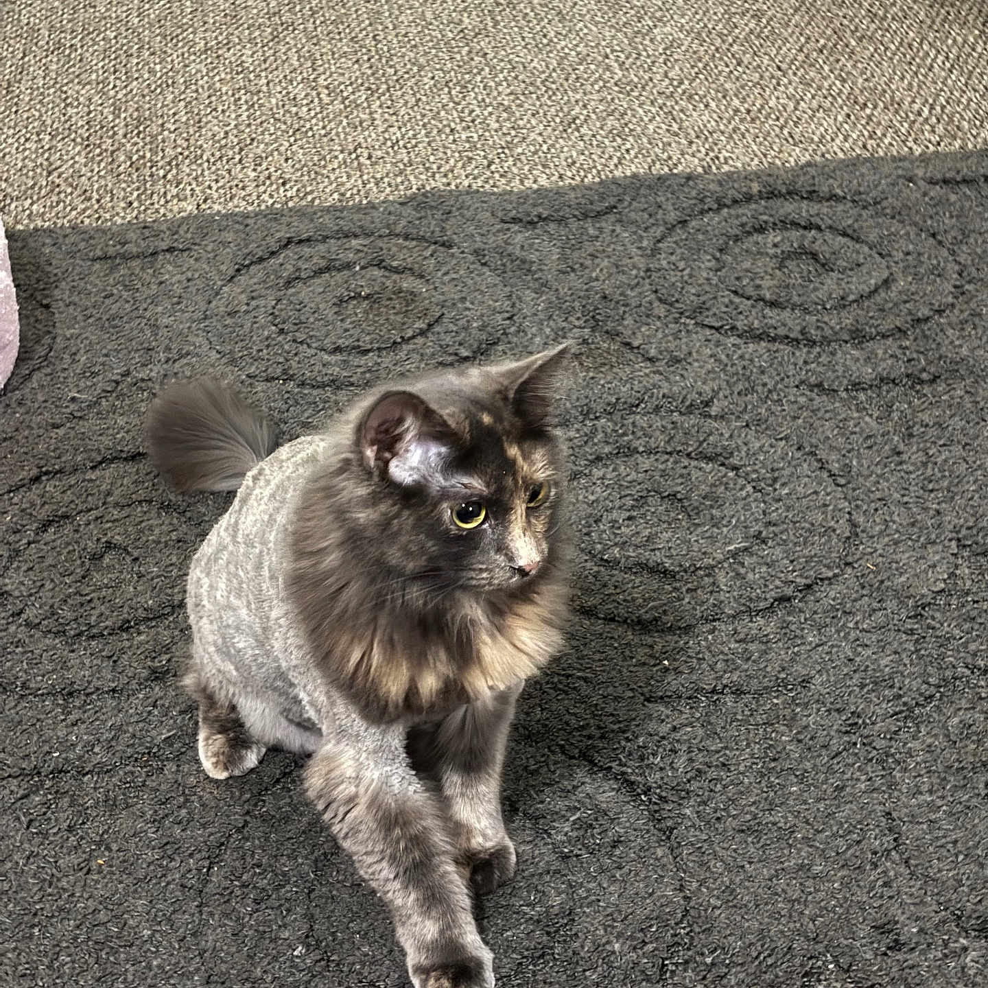 Missy