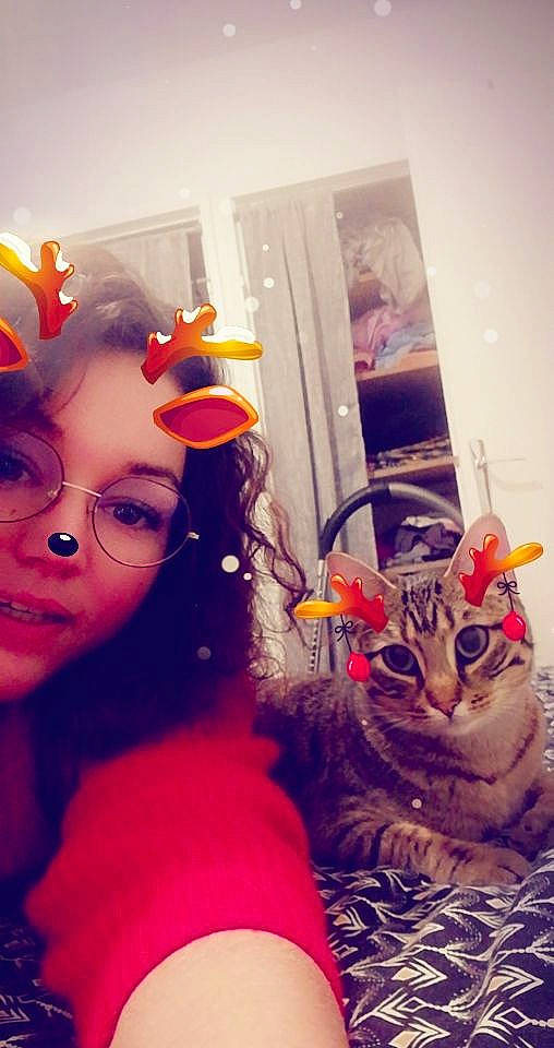 Mooky a rejoint le concours — aidez-le/la à gagner de superbes lots ! carnivore, cat, felidae, fur, orange, party_supply, picture_frame, selfie, small_to_medium_sized_cats, tabby_cat, whiskers