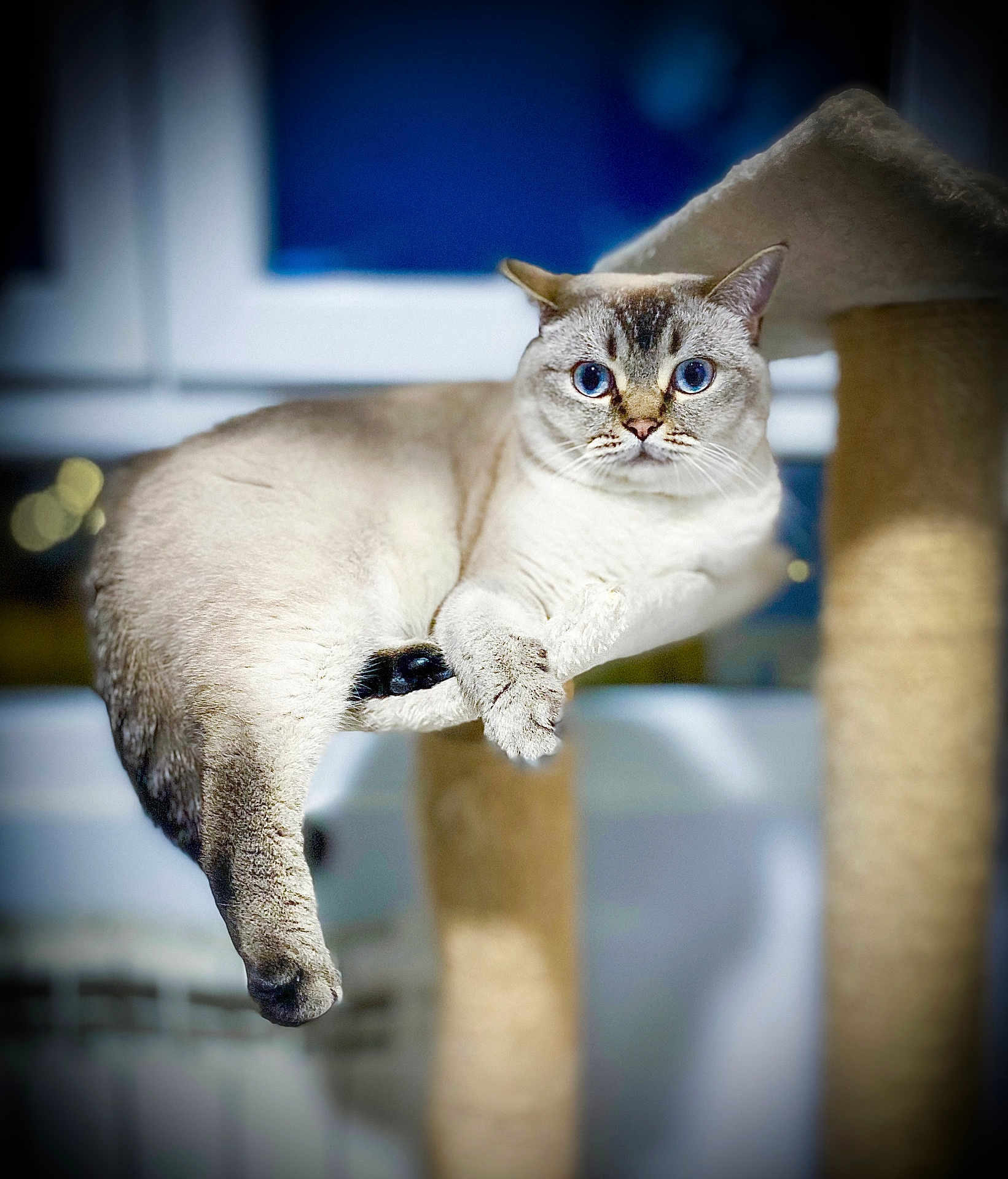 Max