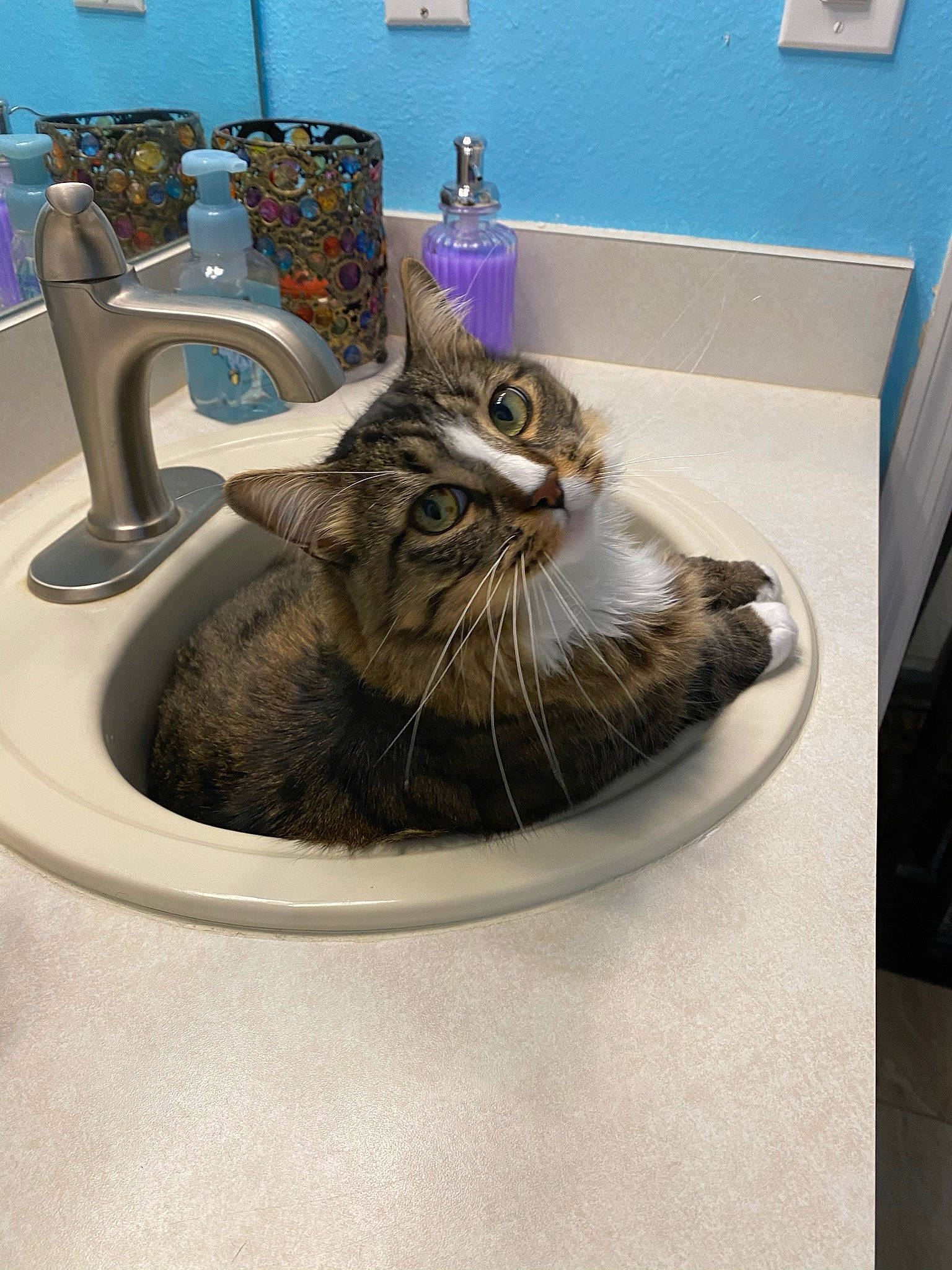 Roush joined the competition — help win amazing prizes! bathroom, bathroom_sink, carnivore, cat, ceramic, countertop, domestic_short_haired_cat, felidae, flooring, fur, interior_design, plumbing, plumbing_fitting, plumbing_fixture, room, sink, small_to_medium_sized_cats, tap, tile, whiskers