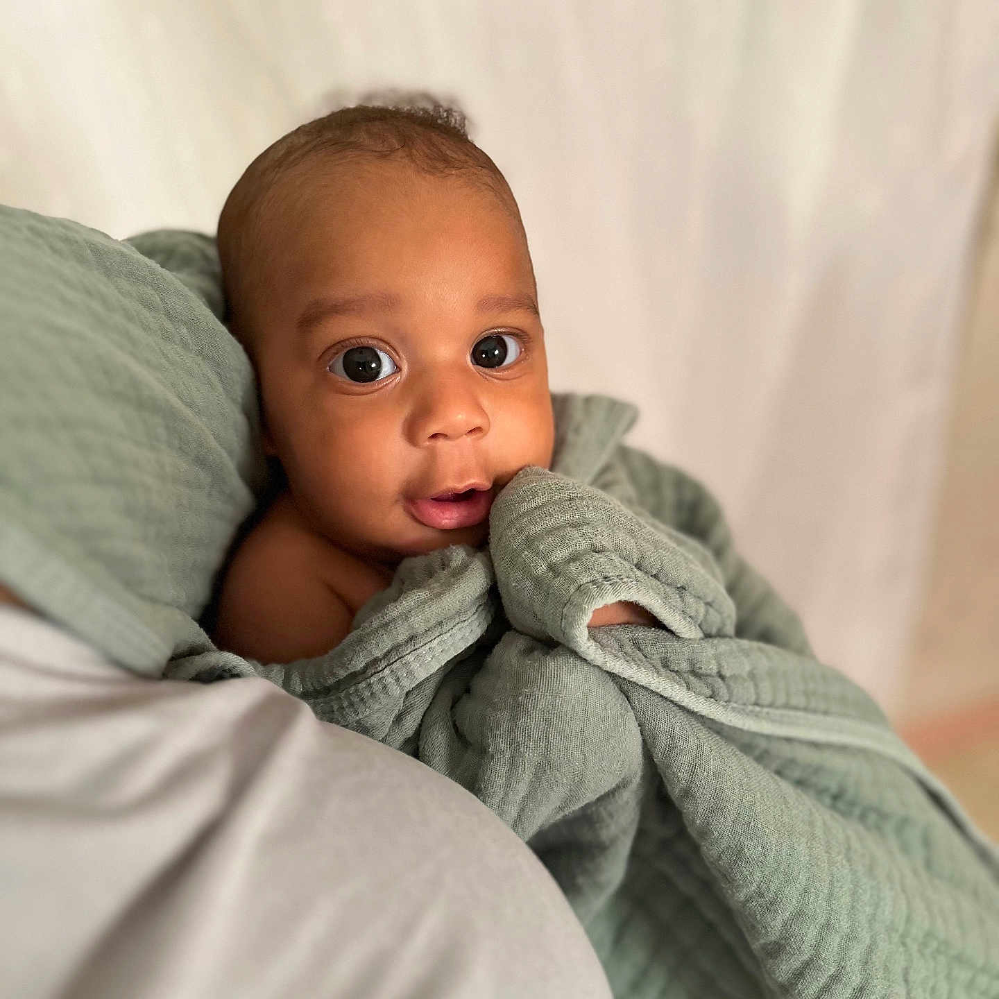 Maxwell joined the competition — help win amazing prizes! baby, blanket, clothing, face, happy, head, knitwear, newborn, person, photography, portrait, smile, sweater