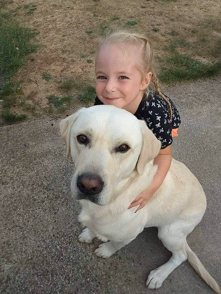 Buzz participe au concours pour gagner de l'argent avec cette photo : akbash_dog, beagador, canidae, carnivore, child, companion_dog, dog, dog_breed, fawn, joy, labrador_retriever, mammal, nose, person, puppy, puppy_love, rare_breed_dog, retriever, snout, sporting_group