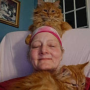 Itty Bitty joined the competition — help win amazing prizes! animal, cat, chair, cozy, cute, fluffy, furniture, ginger_cat, happy, headwear, home, indoor, painting, person, pet, portrait, red_clothing, relaxation, smile, window