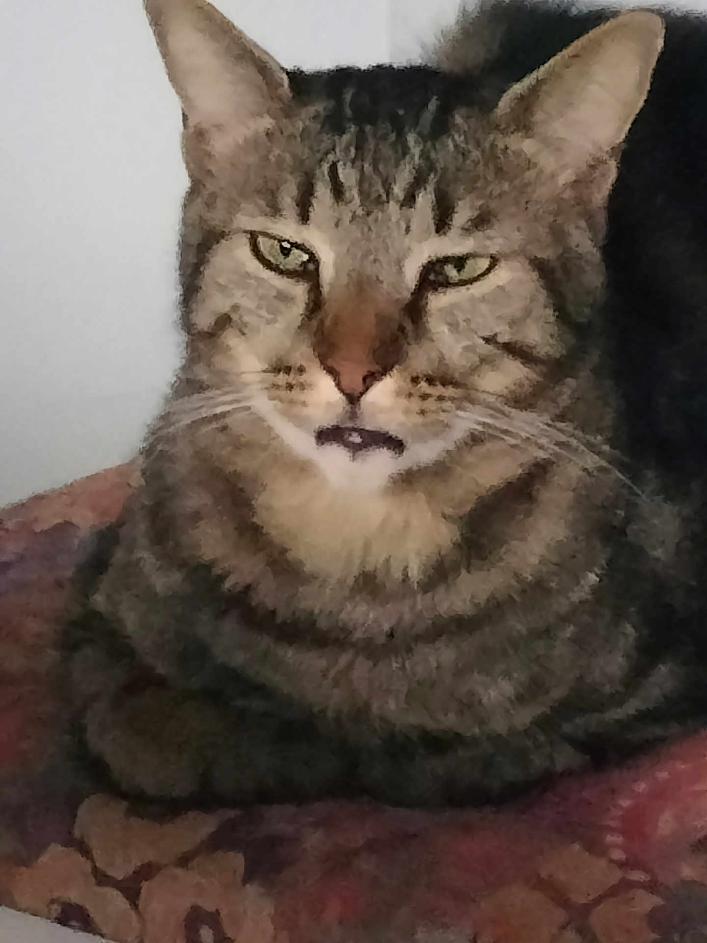 Cedric Blaise a rejoint le concours — aidez-le/la à gagner de superbes lots ! cat, tabby_cat, pet, animal, feline, close_up, indoor, fur, whiskers, ears, eyes, portrait, resting, blanket, pattern, cute, expression, mouth_open, sitting, domestic_animal