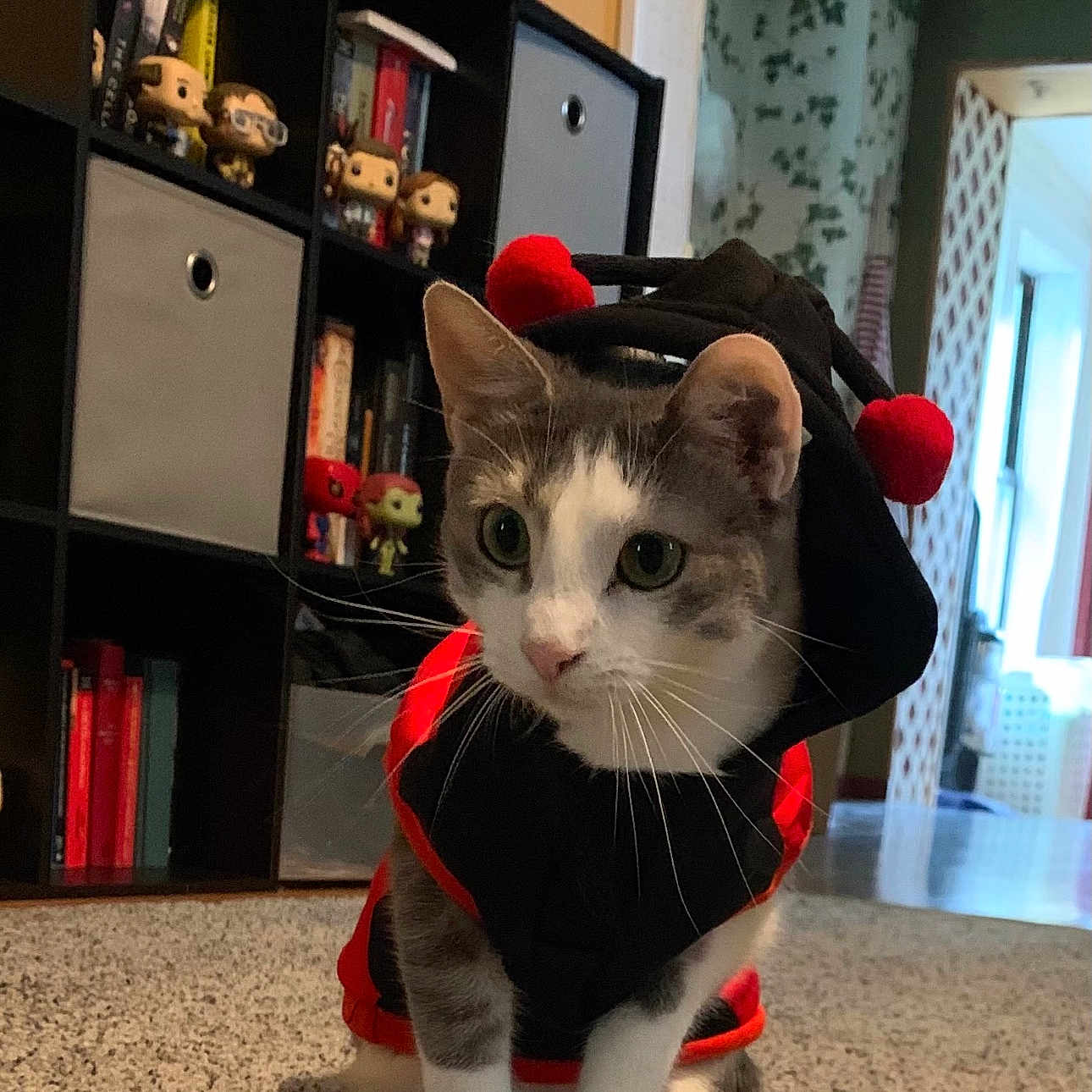 Penelope