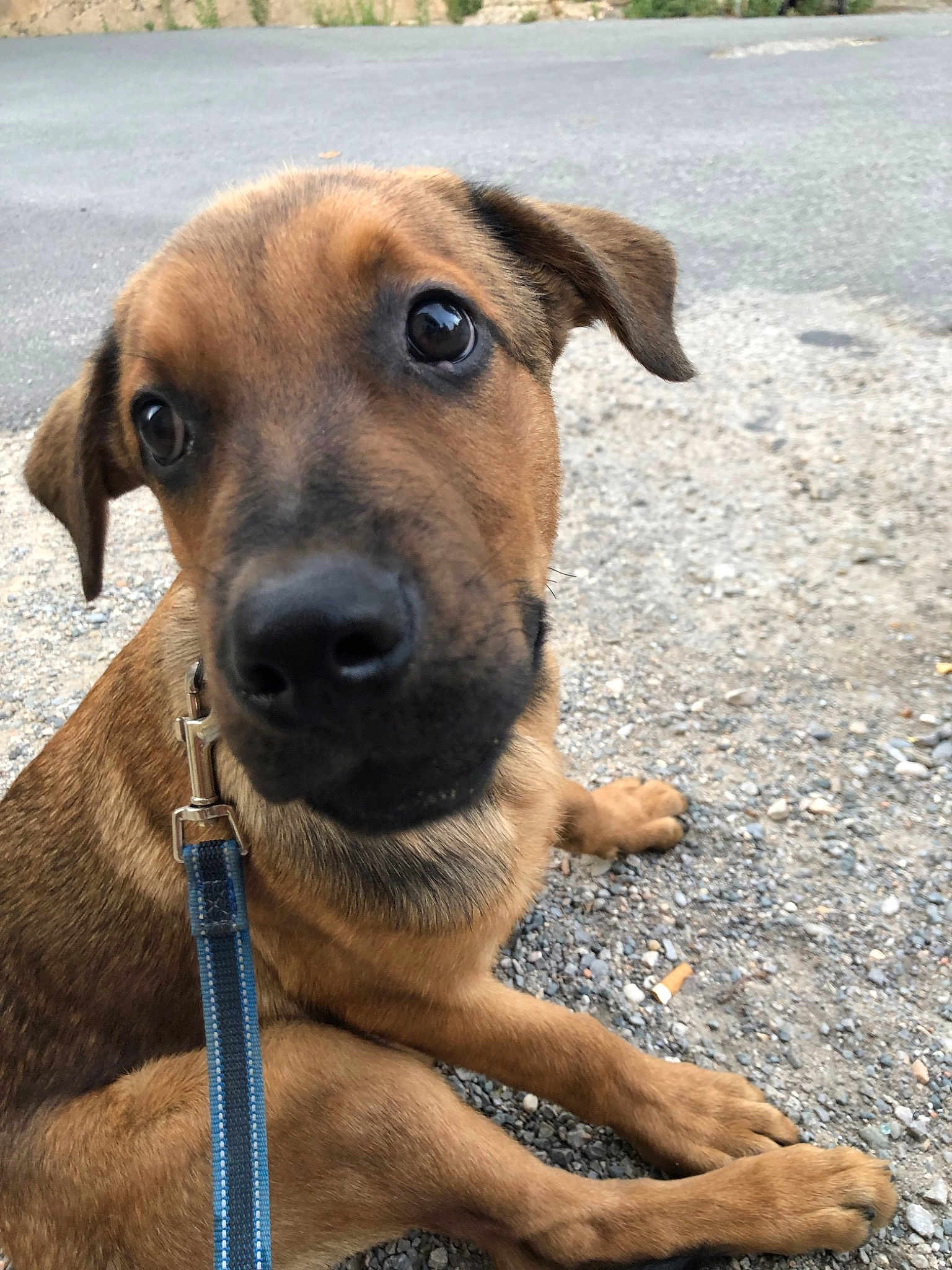 Bruce
