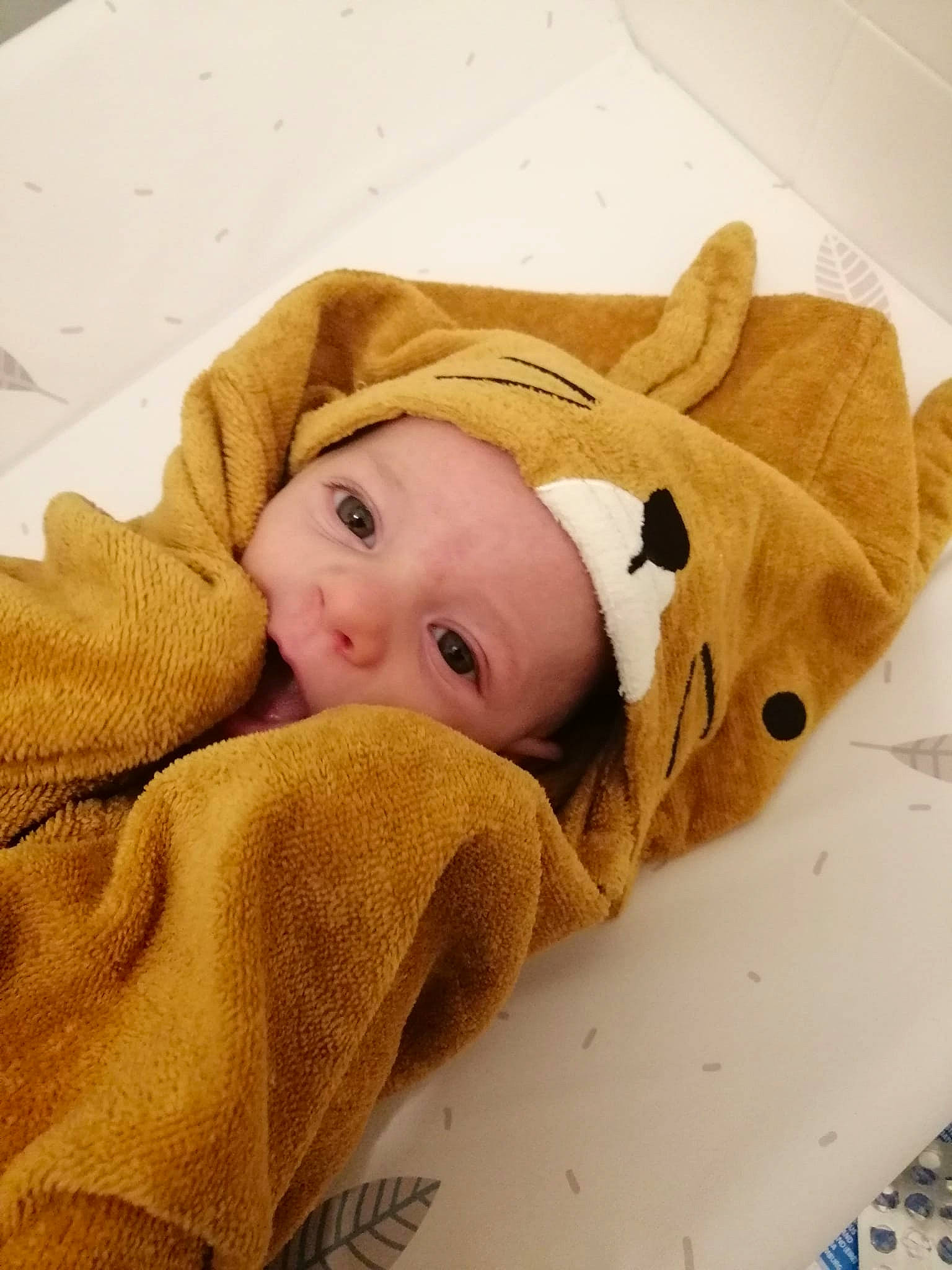 Nélo a rejoint le concours — aidez-le/la à gagner de superbes lots ! baby, baby_products, baby_safety, baby_sleeping, baby_toddler_clothing, beige, cheek, child, comfort, eye, face, fur, head, headwear, linens, person, polar_fleece, sleeve, toddler, wood