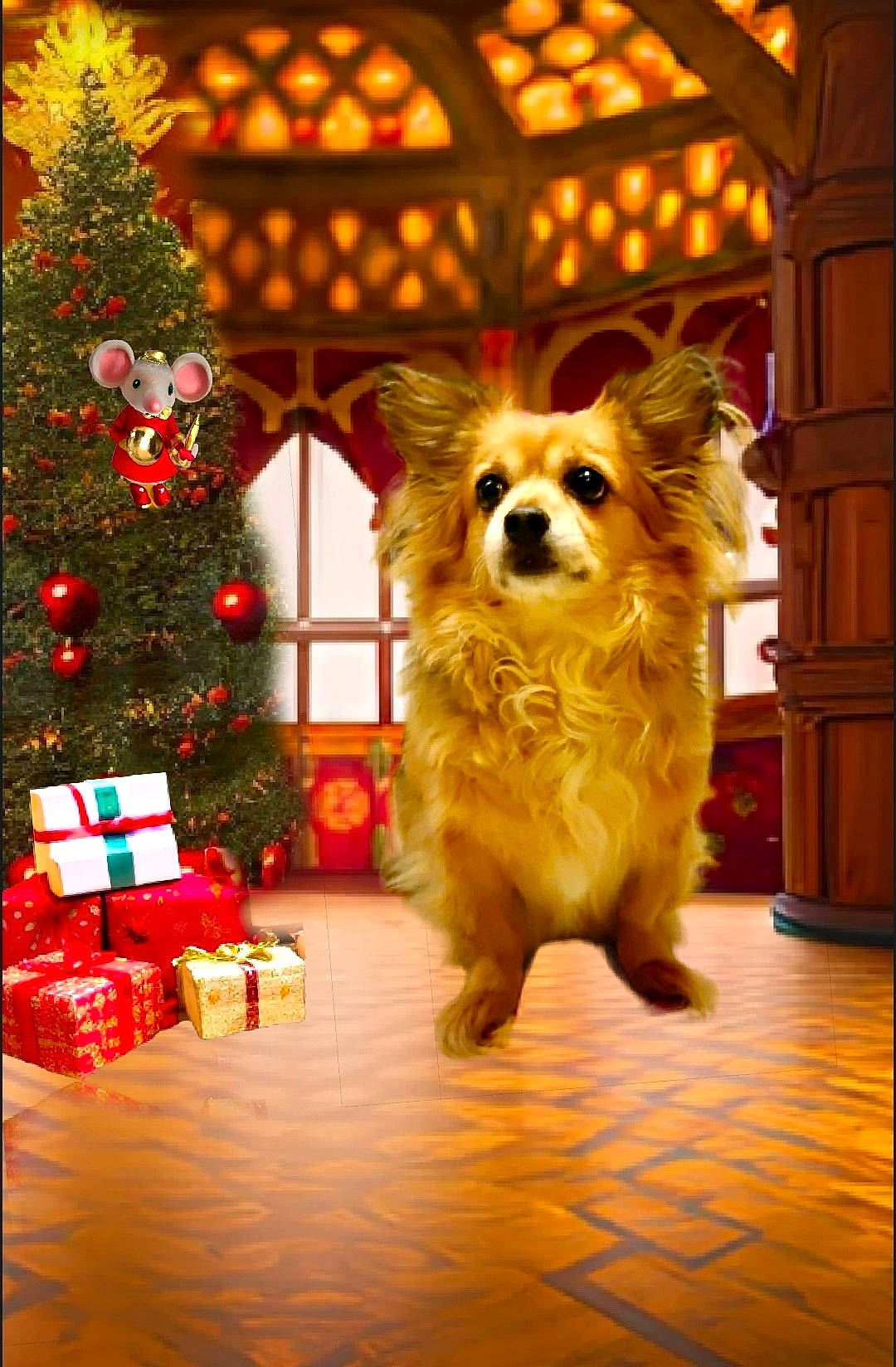 Harley Girl is registered to the contest to win money with this photo: carnivore, christmas_decoration, christmas_ornament, christmas_tree, companion_dog, dog, dog_breed, dog_supply, door, event, fawn, light, lighting, ornament, plant, red, snout, toy_dog, whiskers, window