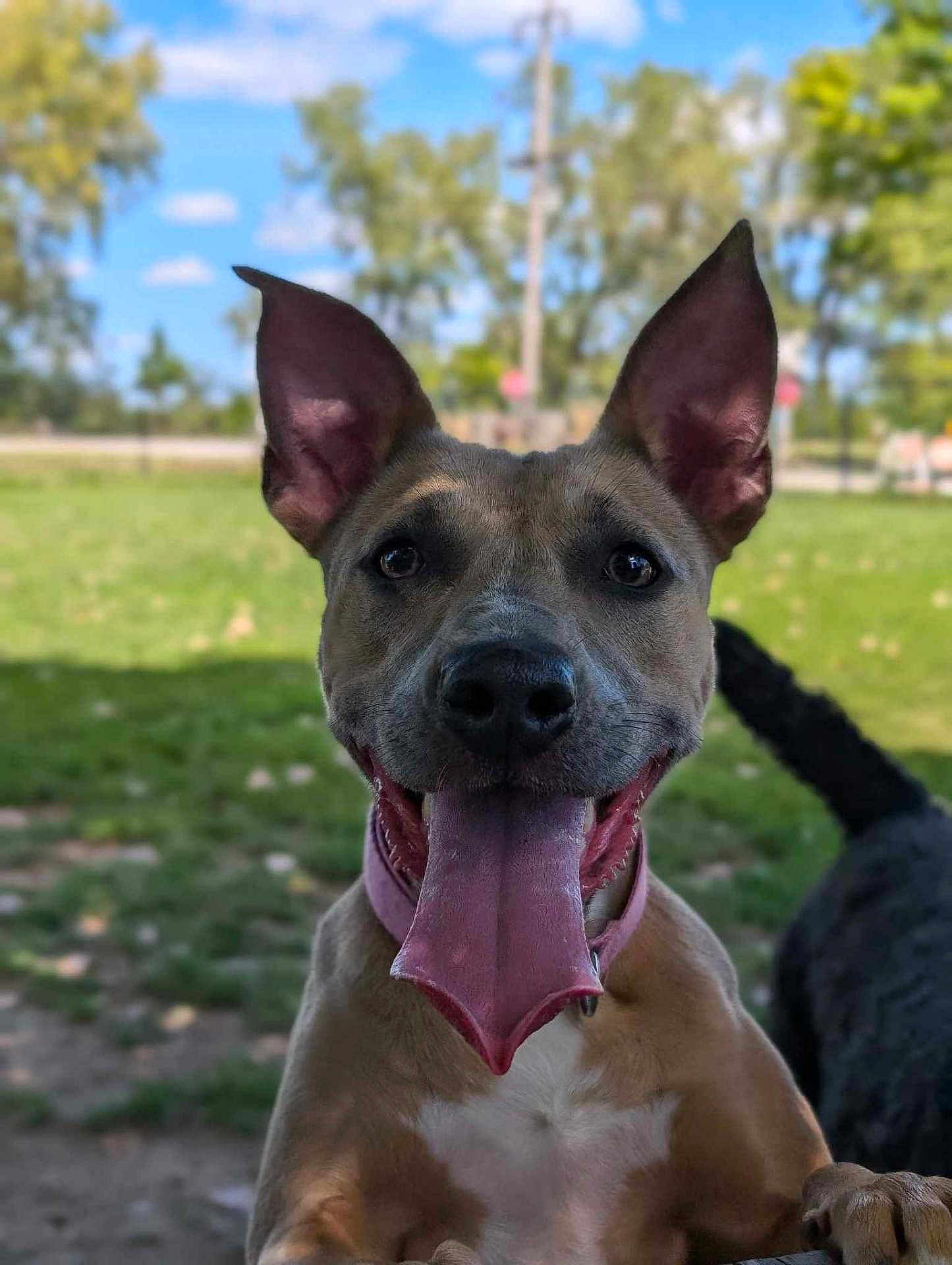 Freya