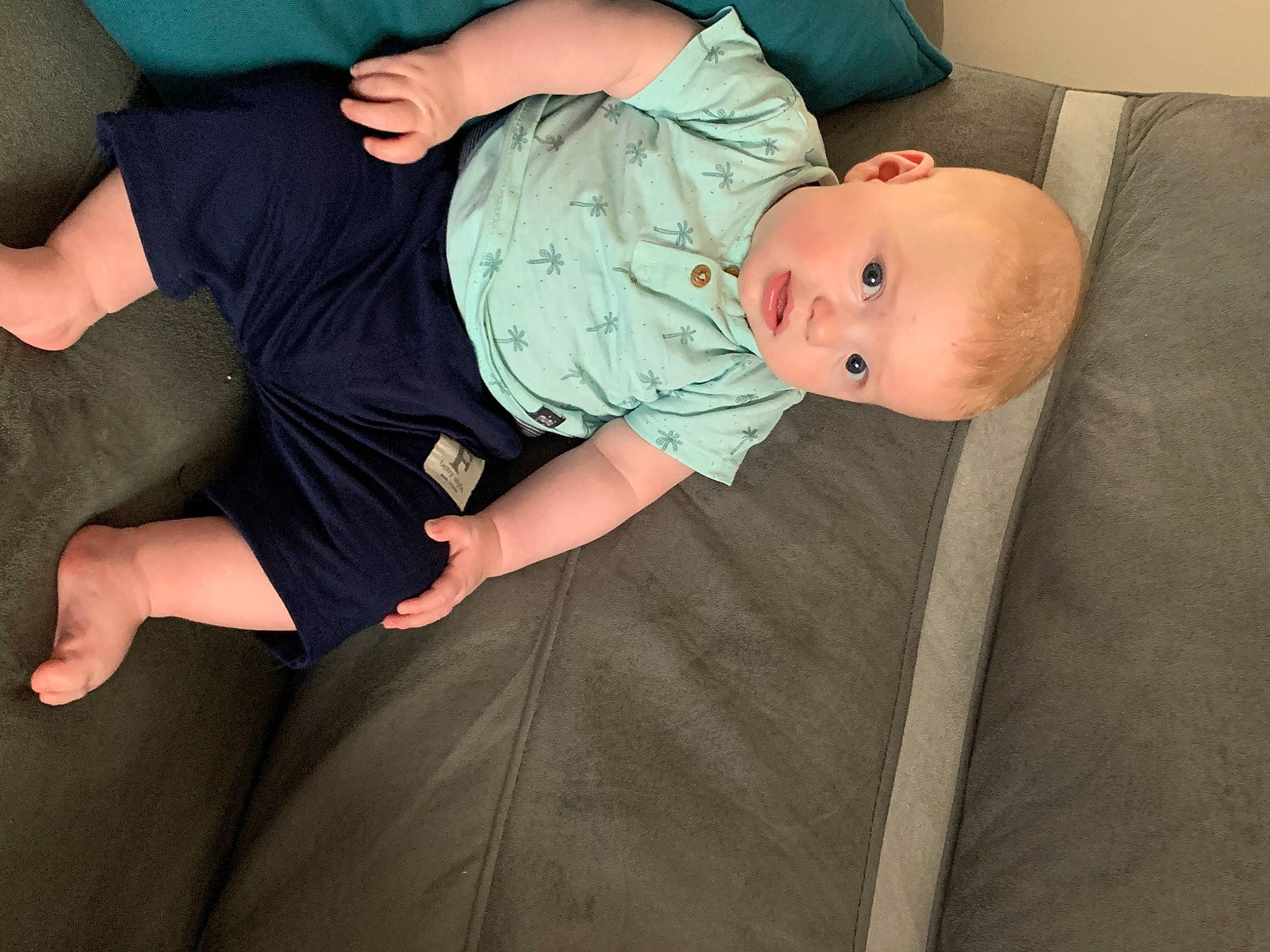 Télio participe au concours pour gagner de l'argent avec cette photo : abdomen, baby, baby_products, baby_toddler_clothing, child, comfort, elbow, finger, foot, gesture, human_body, human_leg, joint, knee, lap, leg, person, sitting, thigh, toddler