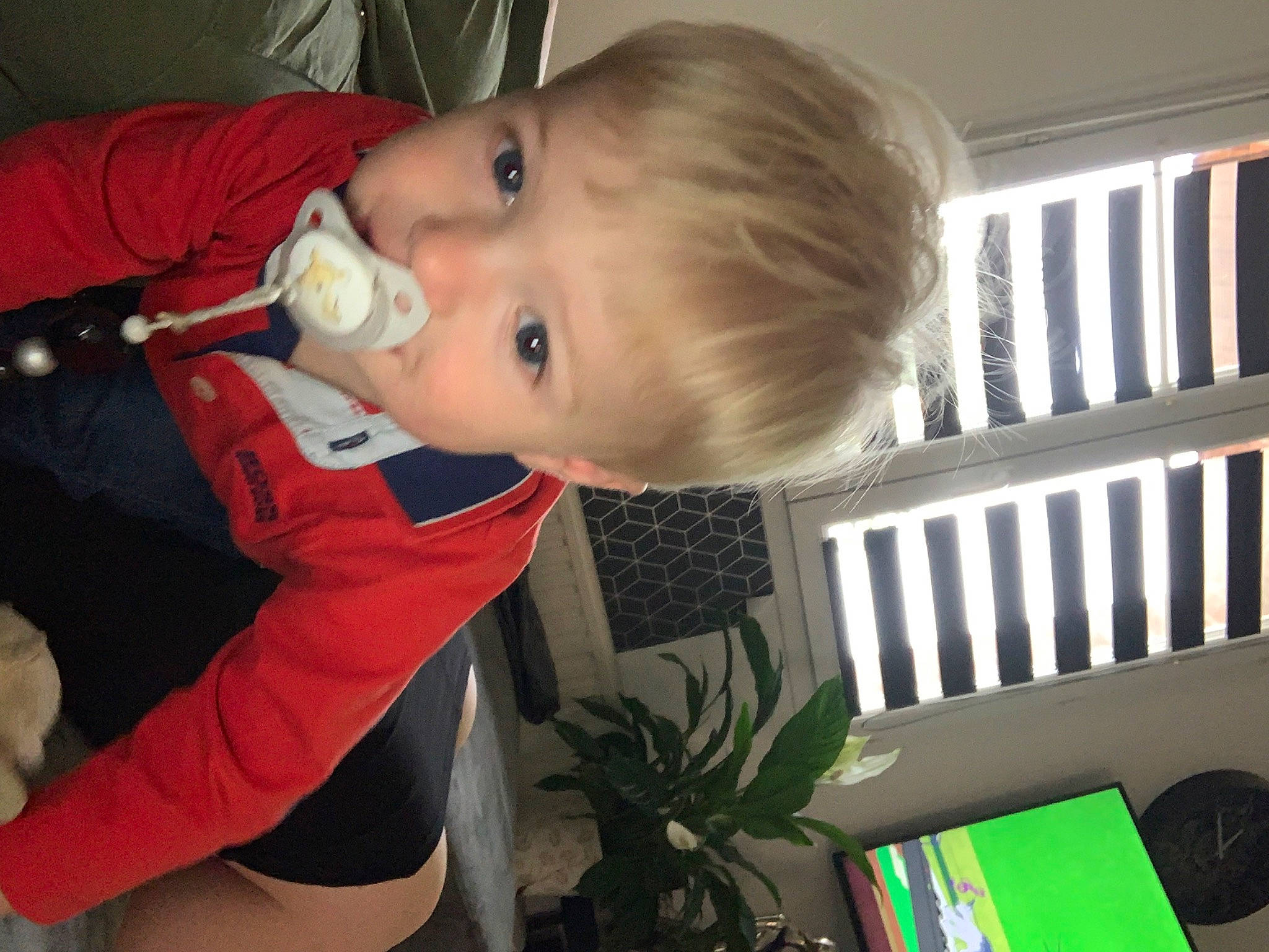 Télio a rejoint le concours — aidez-le/la à gagner de superbes lots ! baby, baby_products, baby_safety, baby_toddler_clothing, child, computer, flowerpot, fun, houseplant, laptop, nose, nursery, organ, person, personal_computer, plant, play, room, snapshot, t_shirt