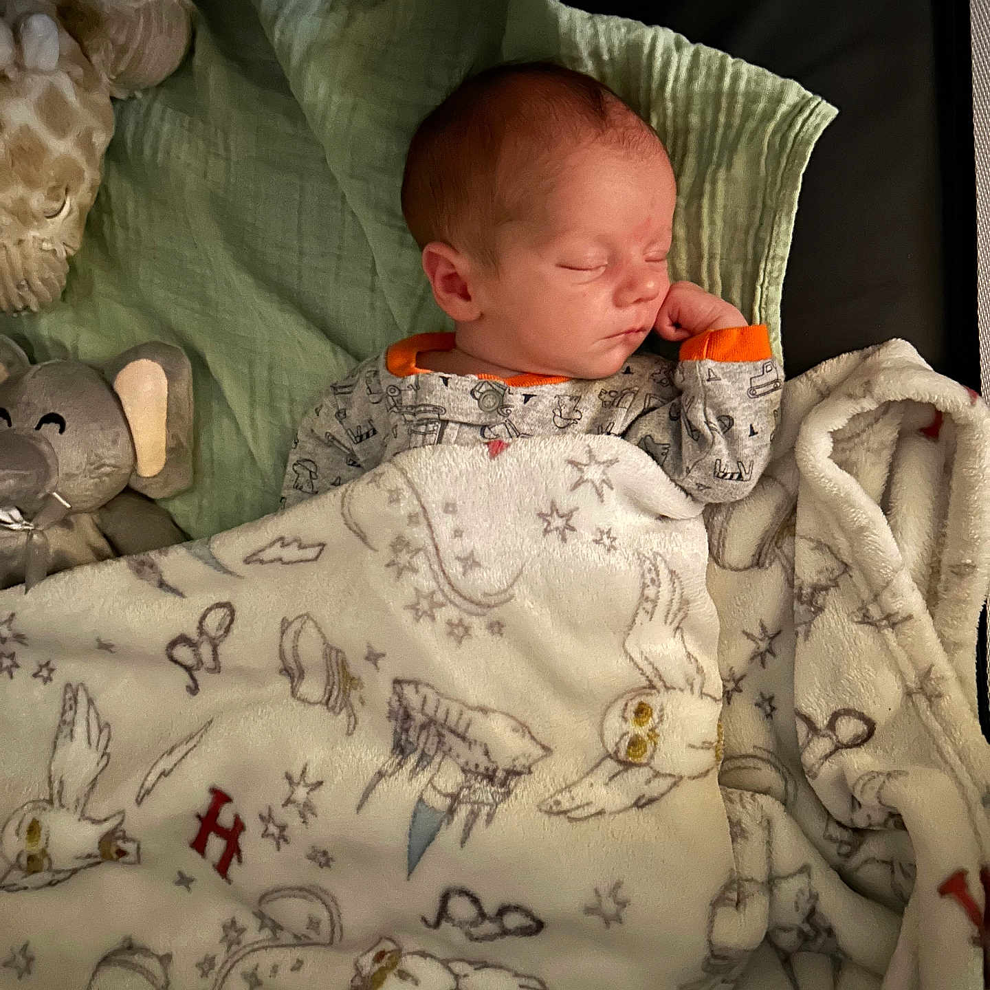 Noah is registered to the contest to win money with this photo: newborn, baby, sleeping, infant, portrait, blanket, swaddle, plush_toy, stuffed_animal, bedding, pillow, crib, indoors, cozy, peaceful, closed_eyes, onesie, nursery, soft_lighting, cuddly