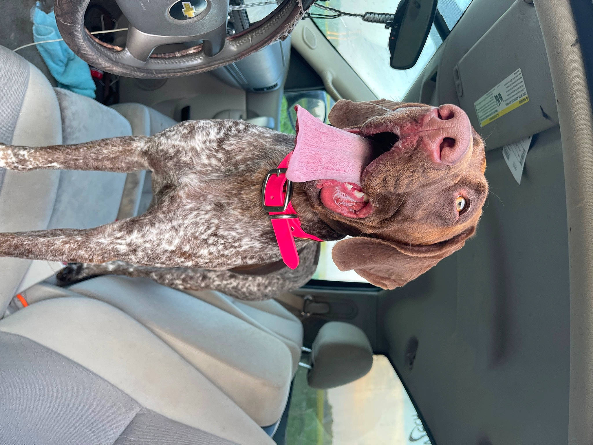 Windy Lou joined the competition — help win amazing prizes! art, auto_part, automotive_design, automotive_exterior, automotive_lighting, automotive_tire, automotive_wheel_system, bumper, carmine, gesture, glove, hat, helmet, human_leg, motor_vehicle, personal_protective_equipment, service, steering_wheel, vehicle, vehicle_door