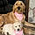 Lucy And Millie