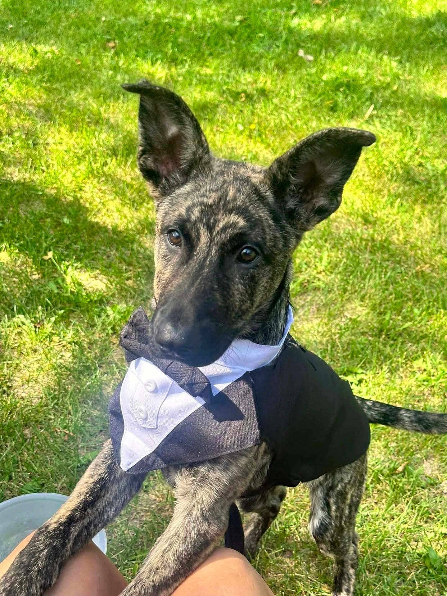 Floki