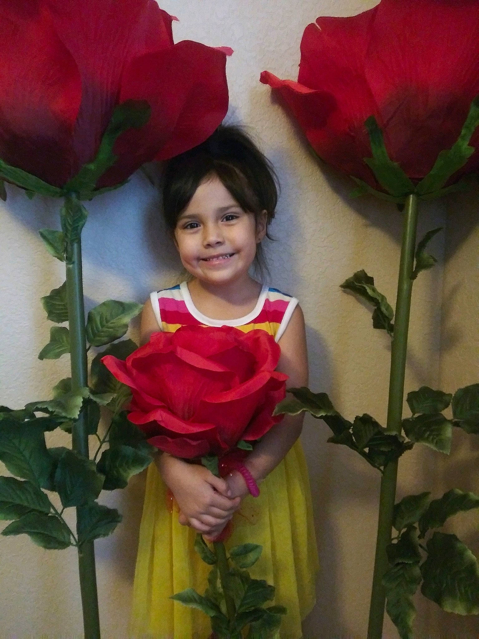 Daisy joined the competition — help win amazing prizes! botany, carmine, child_model, cut_flowers, floristry, flower, flowering_plant, garden_roses, hybrid_tea_rose, joy, magenta, pedicel, person, petal, pink, plant, plant_stem, red, rose, rose_family