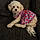 Lola