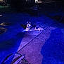 Denali is registered to the contest to win money with this photo: dog, husky, night, outdoor, driveway, blue_light, grill, house, shadow, concrete, animal, pet, resting, suburban, dark, quiet, evening, lawn, fence, relaxing