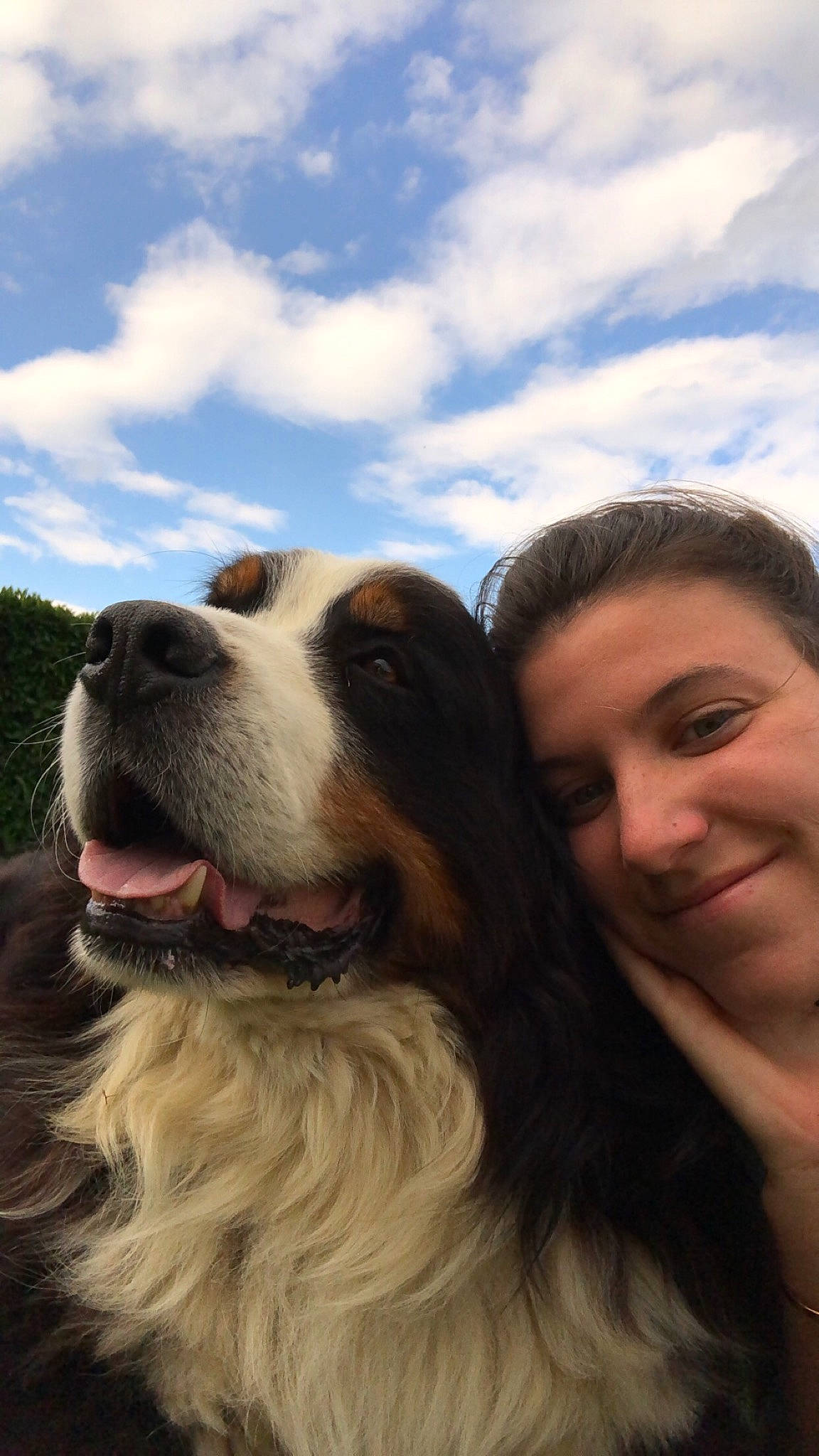 Gribouille a rejoint le concours — aidez-le/la à gagner de superbes lots ! bernese_mountain_dog, canidae, carnivore, companion_dog, dog, dog_breed, giant_dog_breed, mammal, moscow_watchdog, nose, photography, pyrenean_mastiff, sky, snout, sporting_group, st_bernard, tornjak, working_dog