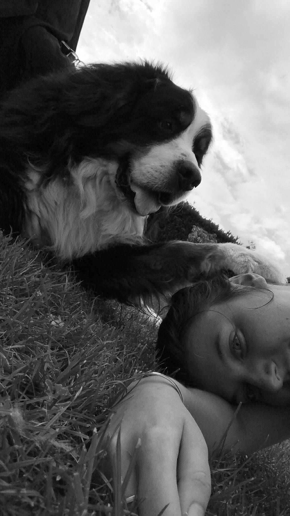 Gribouille a rejoint le concours — aidez-le/la à gagner de superbes lots ! beauty, black_and_white, black_hair, canidae, monochrome, photography, smile, snout