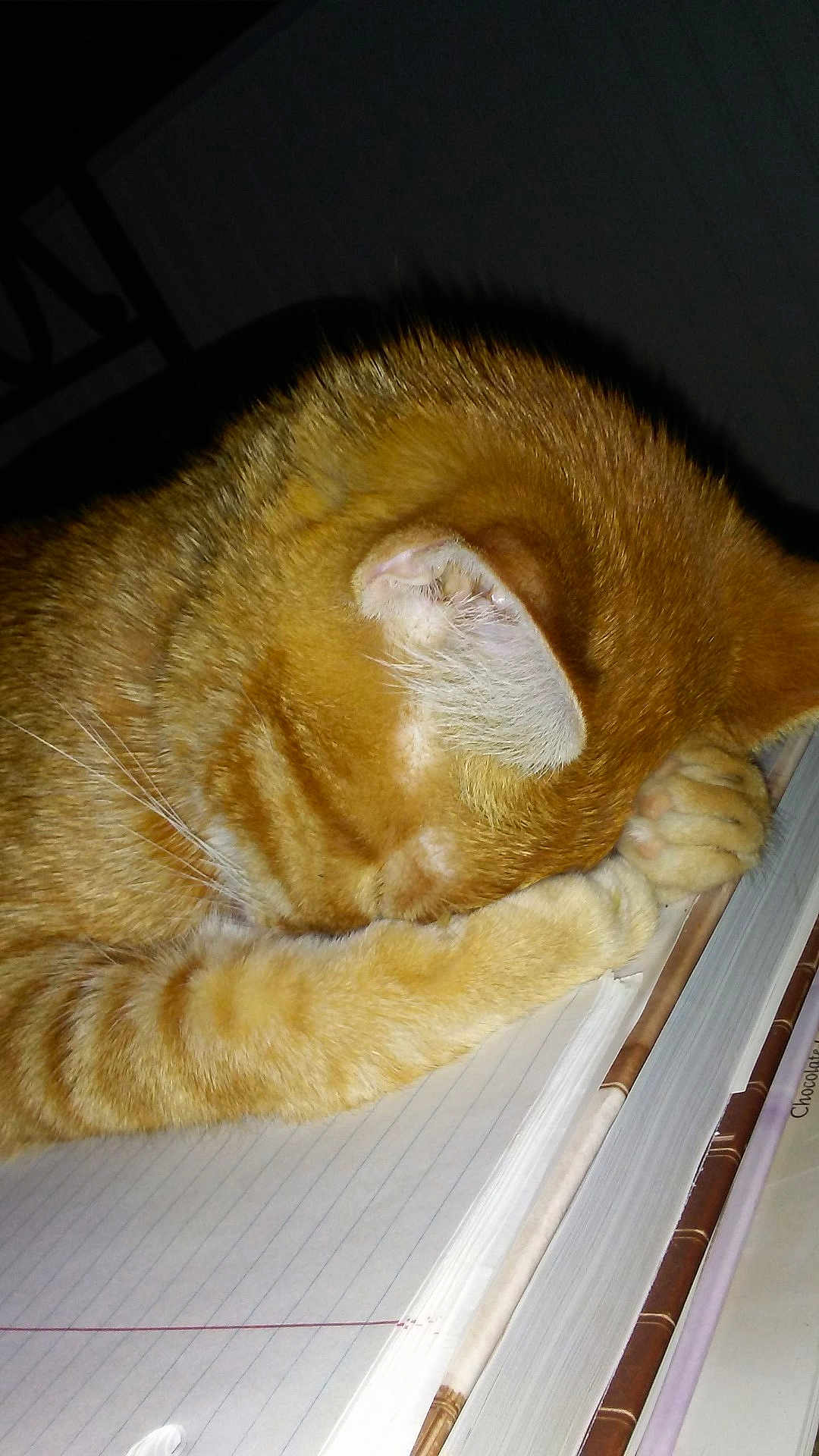 Pumpkin