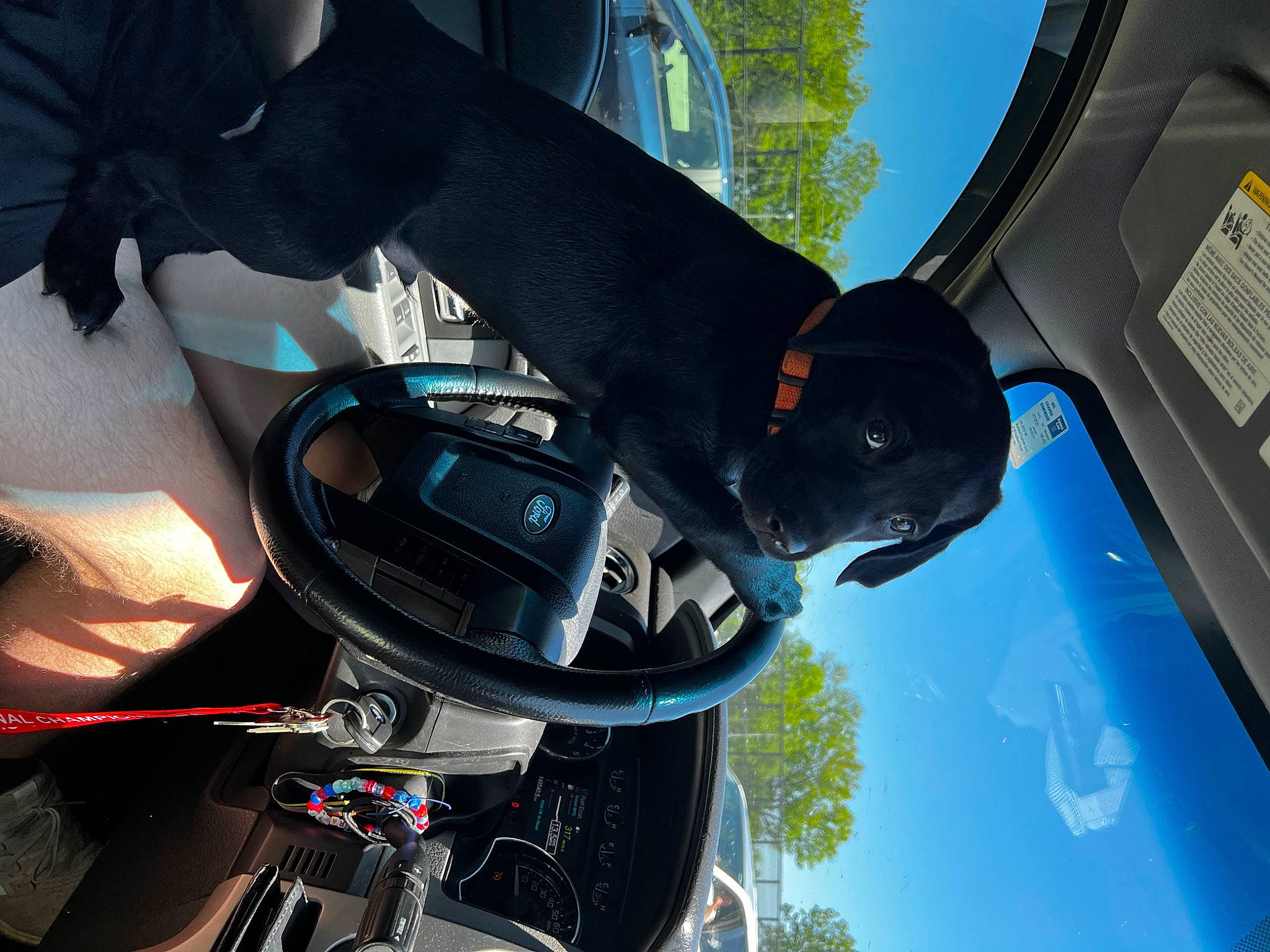 Moose is registered to the contest to win money with this photo: auto_part, automotive_design, automotive_exterior, automotive_lighting, automotive_mirror, automotive_tire, car, electric_blue, helmet, hood, mode_of_transport, motor_vehicle, personal_luxury_car, rear_view_mirror, sky, steering_part, steering_wheel, vehicle, vehicle_door, windshield