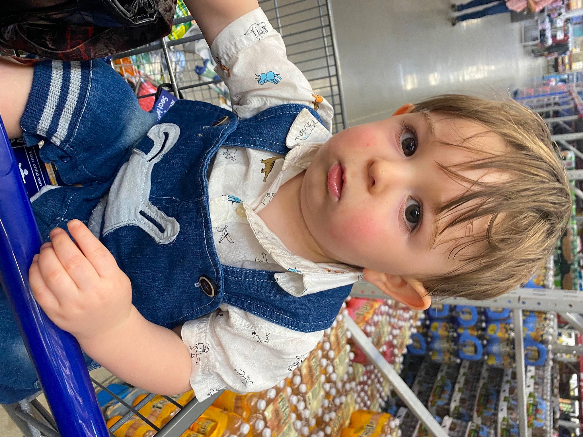 Noah is registered to the contest to win money with this photo: baby_toddler_clothing, blue, child, elbow, electric_blue, fun, gesture, happy, leisure, mouth, person, personal_protective_equipment, plant, snapshot, sports_gear, thigh, toddler, tree, uniform, wrist