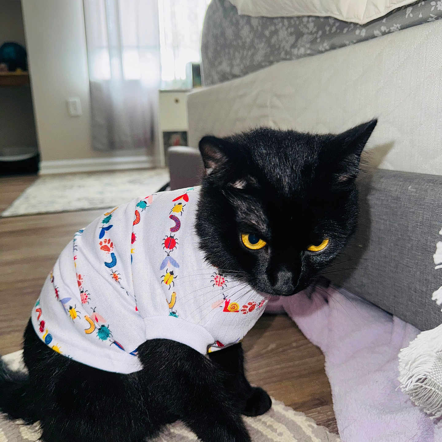 Luca Bug