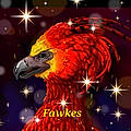 Fawkes Z.