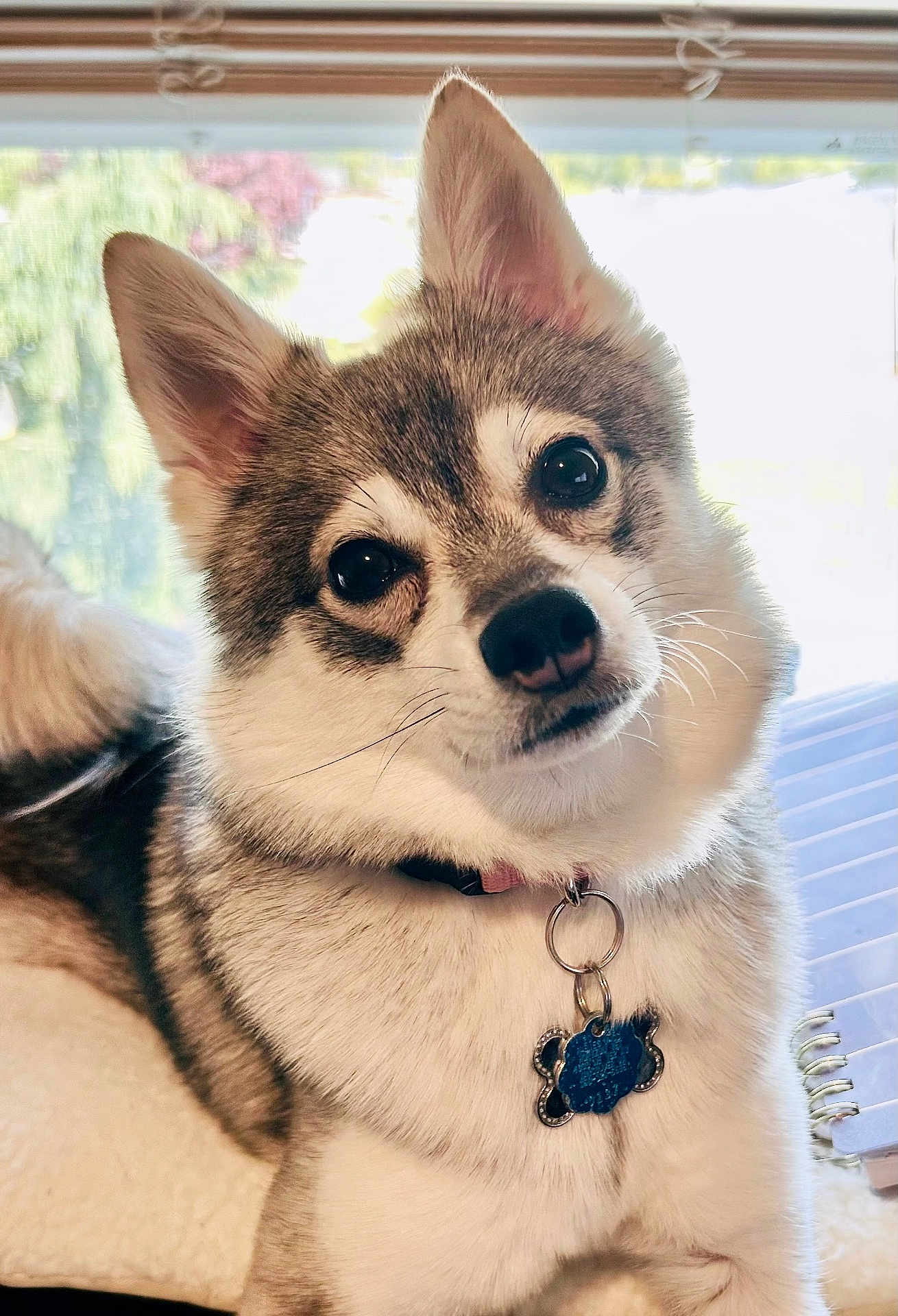 Kiva