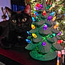 Bing joined the competition — help win amazing prizes! animal, black_cat, cat, ceramic_tree, christmas_tree, colorful, cozy, curtains, decor, decorations, festive, glowing_lights, holiday, indoor, lights, ornaments, paintbrushes, pet, table, window