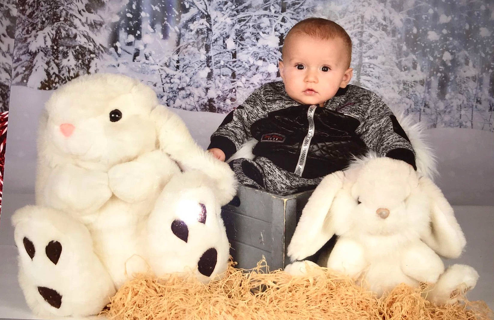 Ylenzo a rejoint le concours — aidez-le/la à gagner de superbes lots ! child, fur, infant, material, person, plush, rabbit, rabits_and_hares, stuffed_toy, teddy_bear, textile, toy