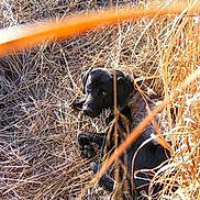 Sammy joined the competition — help win amazing prizes!