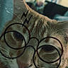 Valentine is registered to the contest to win money with this photo: cat, orange_tabby, close_up, glasses_filter, digital_overlay, indoor, furniture, window, pet, animal, whiskers, ear, nose, collar, barcode_tag, blurred_background, cute, portrait, face, mystical