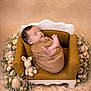 Jade participe au concours pour gagner de l'argent avec cette photo : baby, newborn, sleeping, swaddled, armchair, mini_sofa, plush_bunny, soft_toy, flowers, floral_arrangement, prop_photography, portrait, cozy, fur_rug, blanket, studio, beige_tones, peaceful, infant, tiny_feet