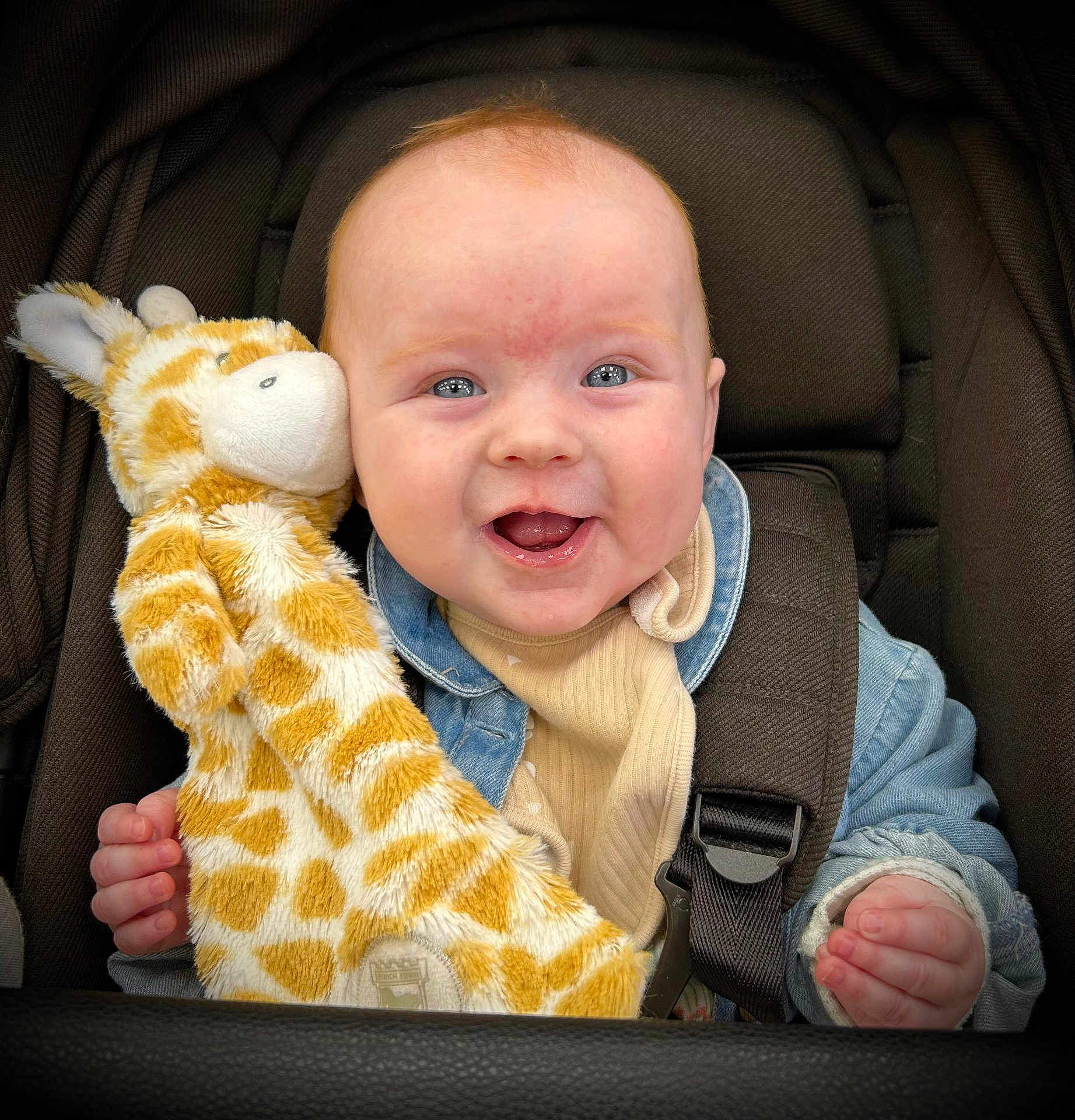 Alba is registered to the contest to win money with this photo: baby, child, smiling, plush_toy, giraffe, car_seat, seatbelt, denim_jacket, beige_clothing, happy, cute, infant, hand, face, portrait, indoor, childhood, soft_toy, pink_skin, bright_eyes