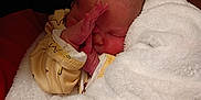 Lila joined the competition — help win amazing prizes! newborn, baby, sleeping, blanket, soft, cute, infant, hands, face, wrapped, cozy, yellow_clothing, skin, bed, resting, indoor, warmth, toddler, person, child