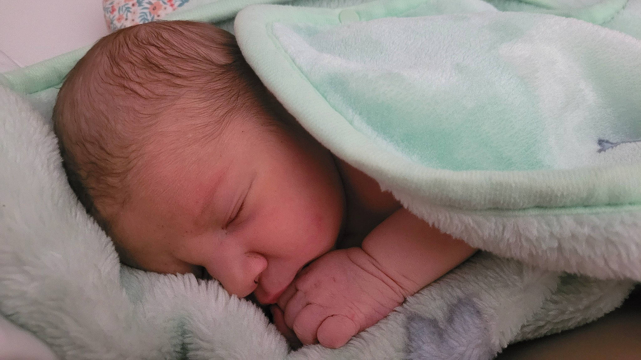 Ayliaz participe au concours pour gagner de l'argent avec cette photo : baby, baby_sleeping, baby_toddler_clothing, bedtime, cheek, child, chin, comfort, finger, fur, head, iris, linens, nap, nose, person, room, skin, sleep, toddler