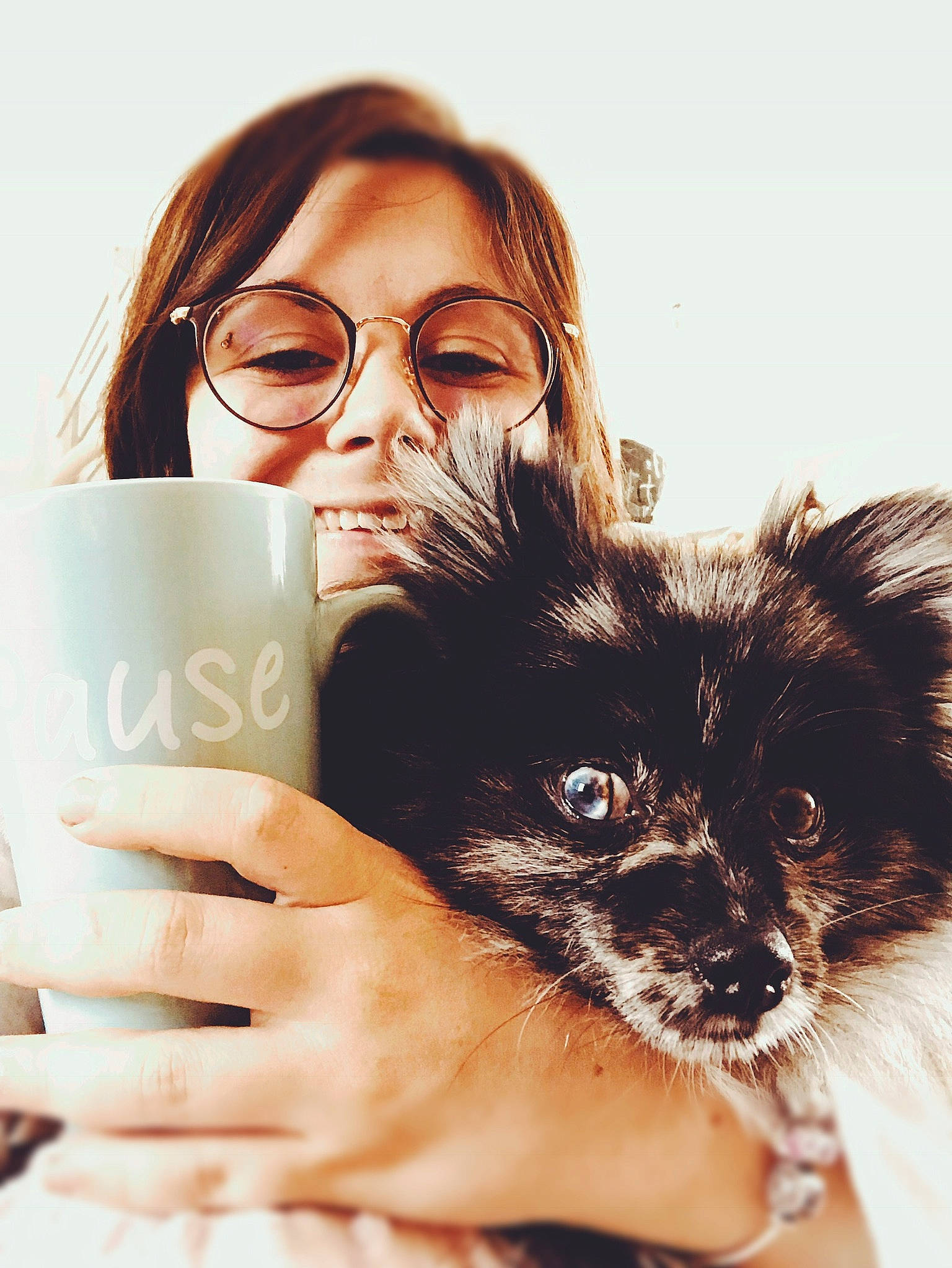 Moko participe au concours pour gagner de l'argent avec cette photo : beauty, black_hair, brown_hair, canidae, carnivore, companion_dog, dog, dog_breed, drinkware, ear, eye, eyewear, glasses, hair, hand, long_hair, pomeranian, puppy, skin, toy_dog
