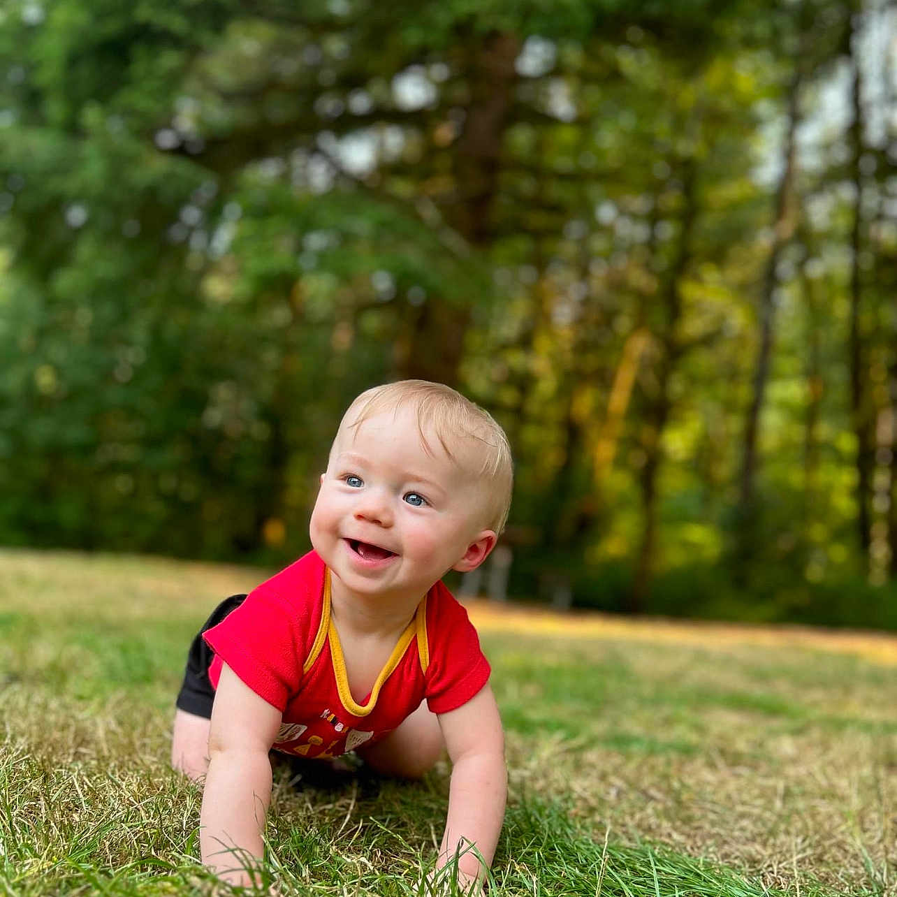 Weston joined the competition — help win amazing prizes! baby, babycrawling, backyard, crawling, face, field, grass, grassland, head, nature, outdoors, park, person, photography, plant, portrait, sitting, tree, vegetation, yard