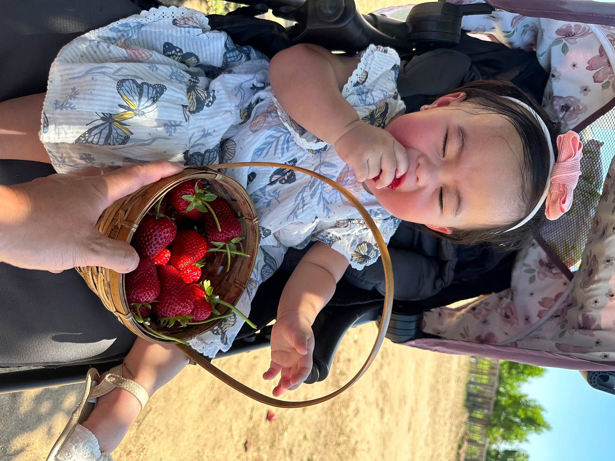 Flora is registered to the contest to win money with this photo: beauty, child, cool, eyewear, fashion_accessory, foot, fun, grass, happy, headgear, human_leg, leisure, luggage_and_bags, pattern, person, plant, recreation, sitting, thigh, tree