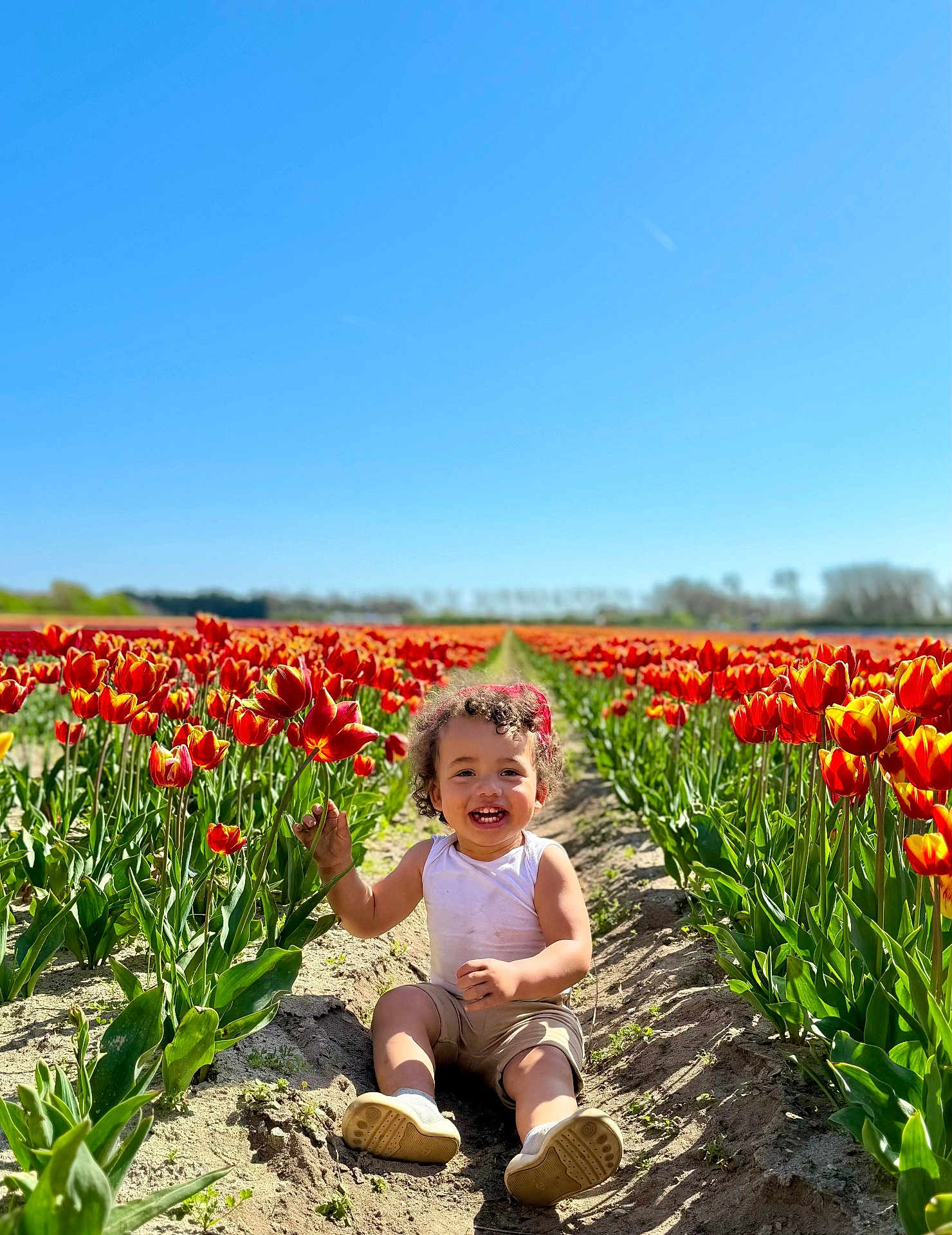 Pharell participe au concours pour gagner de l'argent avec cette photo : toddler, child, flower, tulip, field, outdoor, nature, smiling, happy, sunny, blue_sky, plants, greenery, summer, sitting, casual_clothing, curly_hair, headband, dirt_path, daylight