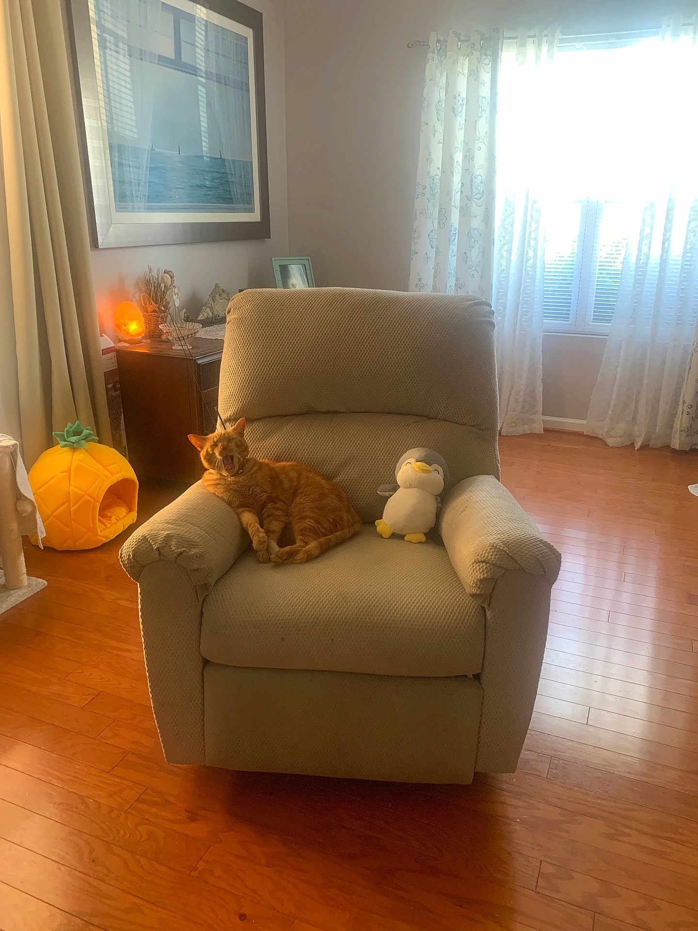 Tony joined the competition — help win amazing prizes! armchair, cat, orange_tabby, plush_toy, penguin, living_room, wooden_floor, curtains, sunlight, pineapple_pet_bed, window, picture_frame, lamp, side_table, decor, cozy, indoor, furniture, yawning_cat, relaxing