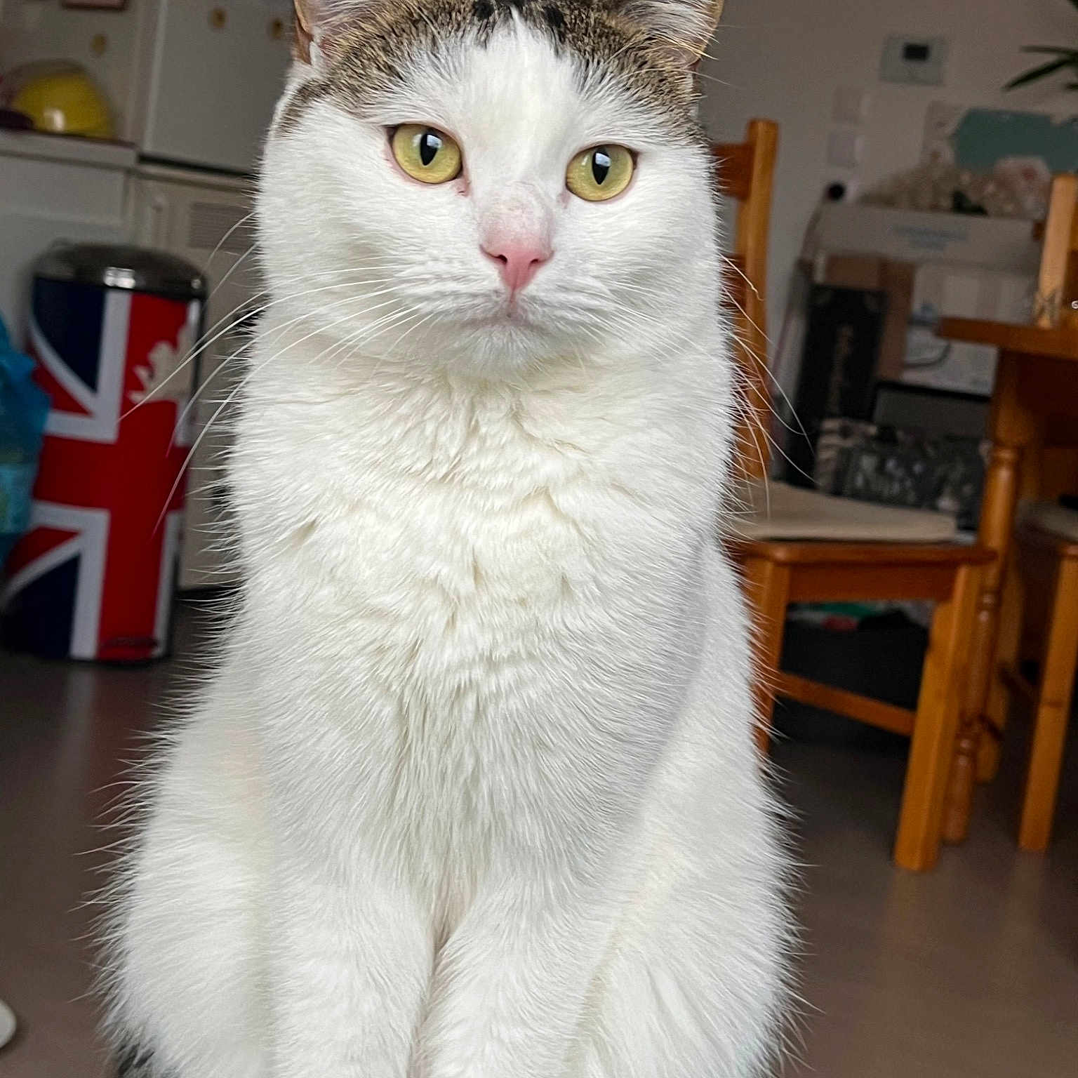 Tiggy