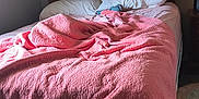 Bonnie And Clyde is registered to the contest to win money with this photo: bedroom, bed, blanket, pink, dog, pillow, wooden_headboard, lamp, wall_art, nightstand, carpet, indoor, cozy, pet, sleeping_area, furniture, comfort, home, rest, relaxation