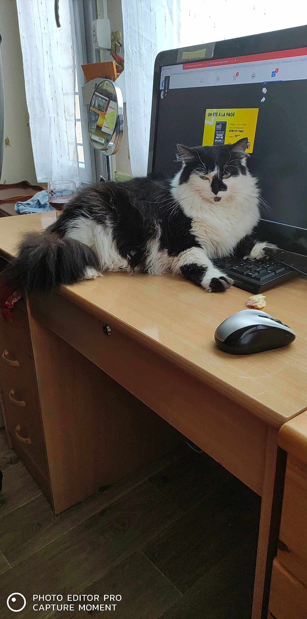 Pépette