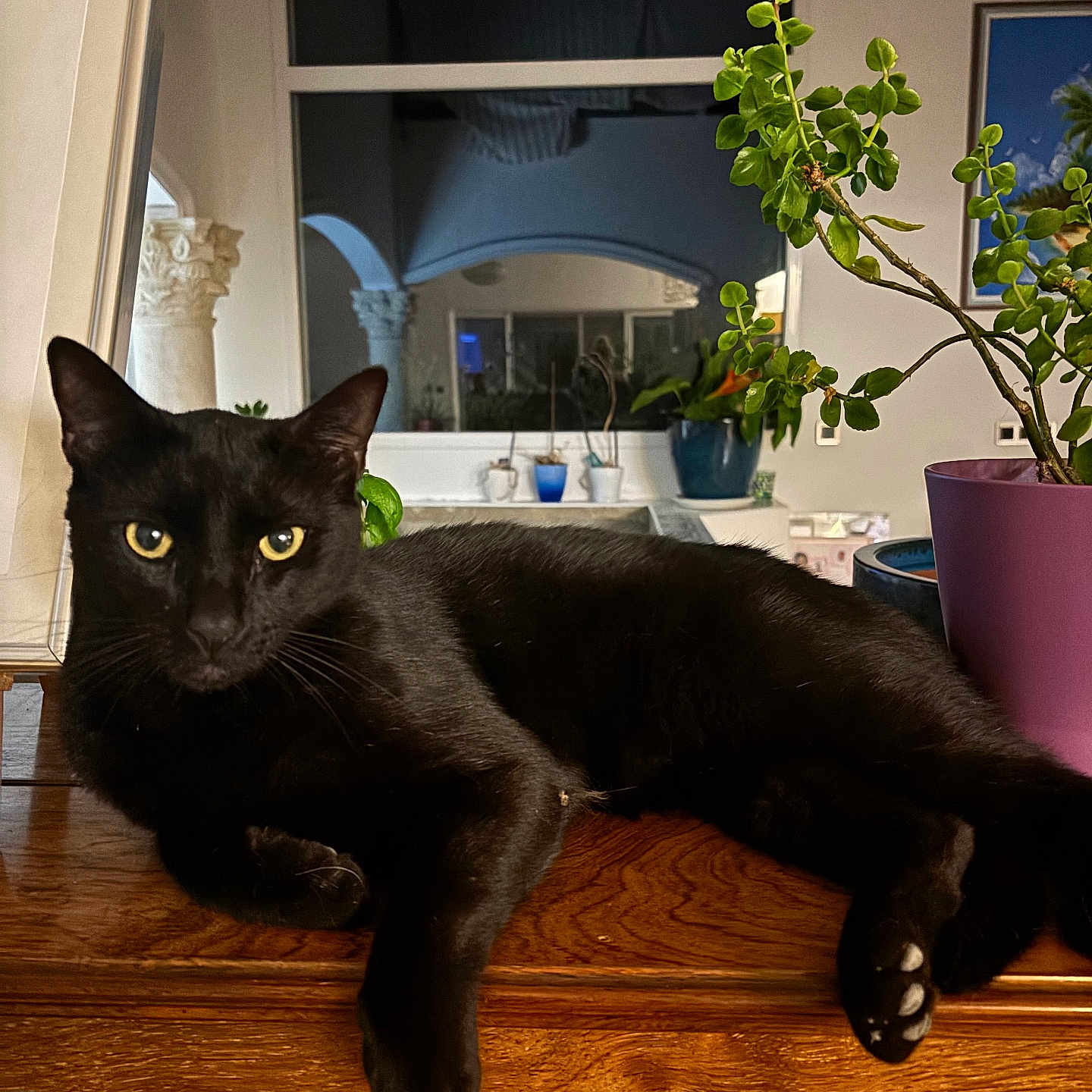 Tino