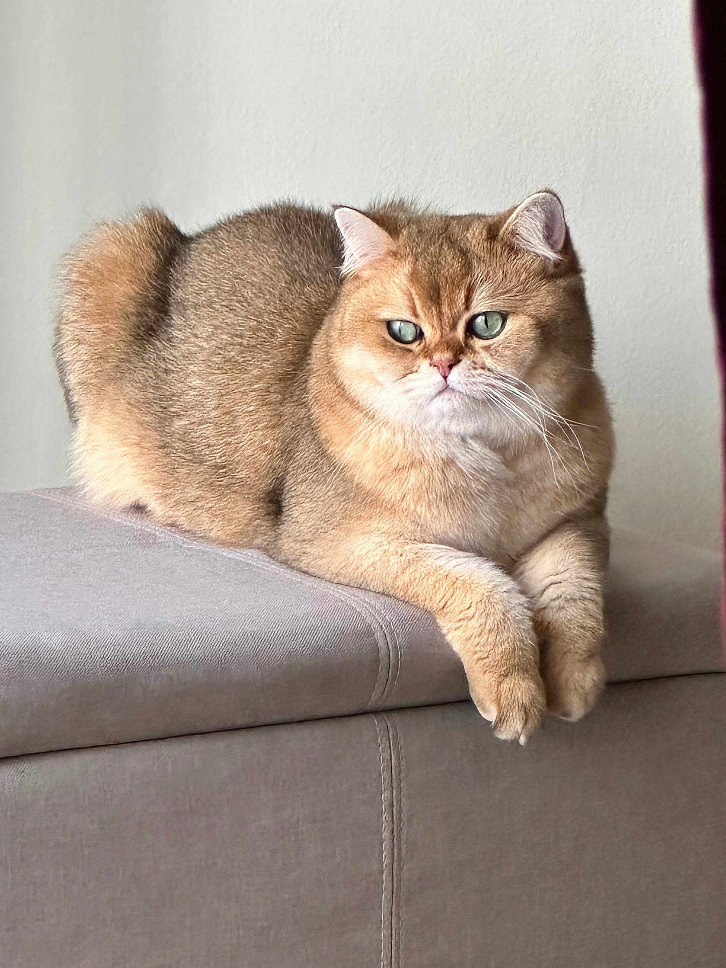 Theodore