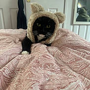 Coco joined the competition — help win amazing prizes! cat, black_and_white, animal, pet, hat, costume, bedroom, blanket, pink, patterned, fur, whiskers, ears, indoor, cozy, relaxed, feline, cute, portrait, resting