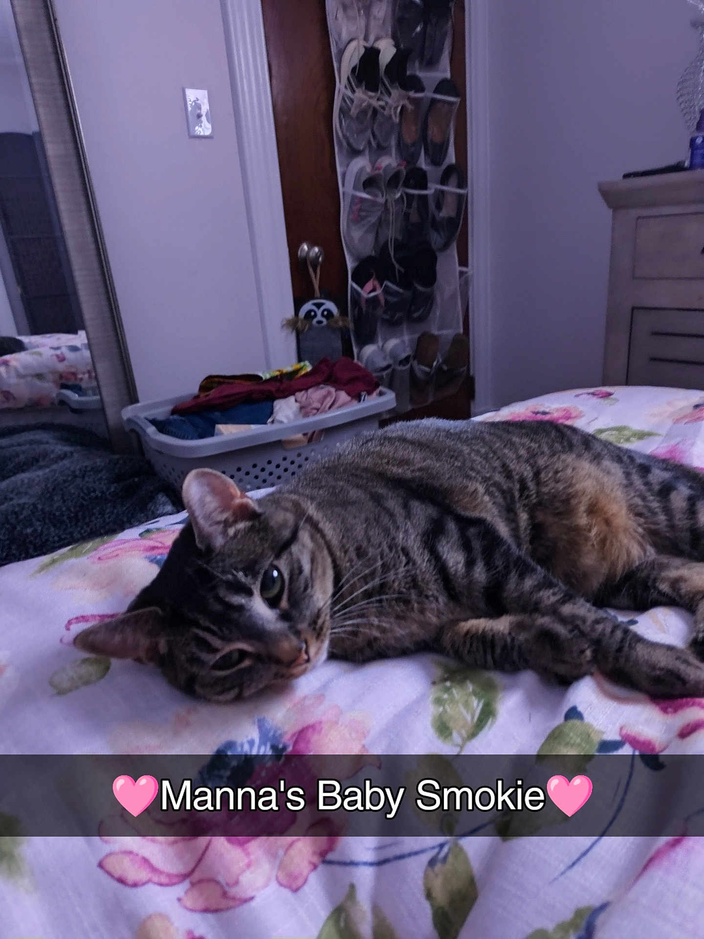 Smokey